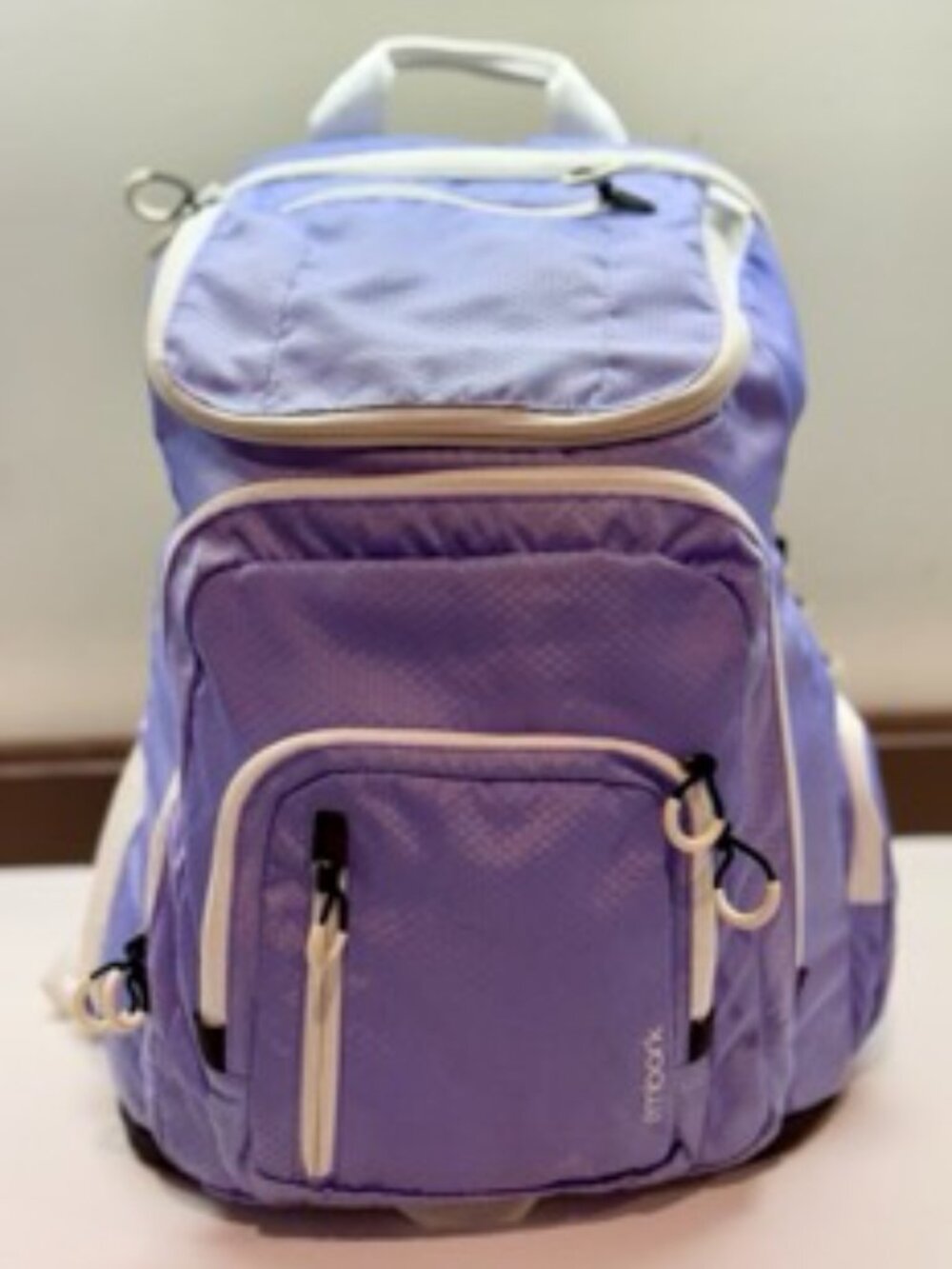 Embark Purple Lavender Multi-Pocket Backpack School Travel Bag